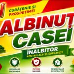 Albinuta